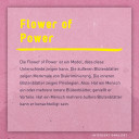 Slideshow Diskriminierung_Intersektionalität