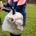Tierschutz-Projekt 22