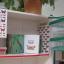 Artenvielfalt Projekt 3