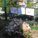 Artenvielfalt Projekt 5