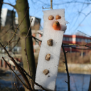 Schneemännner ohne Schnee: Klangfarben-Projektwoche in der SG IV