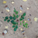 Herbstmandala2