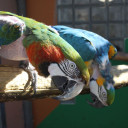 Herausforderungen 2019_Versteckte Präsenz