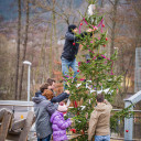 UniverSaale_Weihnachtsbaum wird geschmückt Foto_Alexander Knüpfer 150