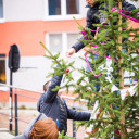 UniverSaale_Weihnachtsbaum schmücken  viele helfende Hände Foto_Alexander Knüpfer